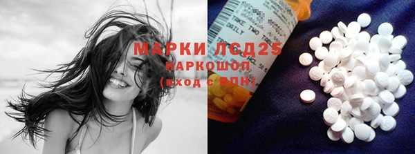 прущий лед Бородино
