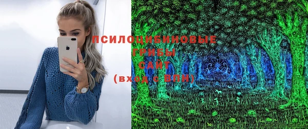 прущий лед Бородино