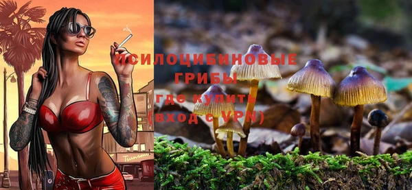 каннабис Богородицк