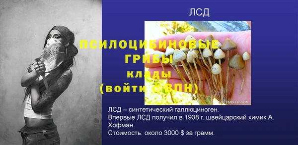 прущий лед Бородино